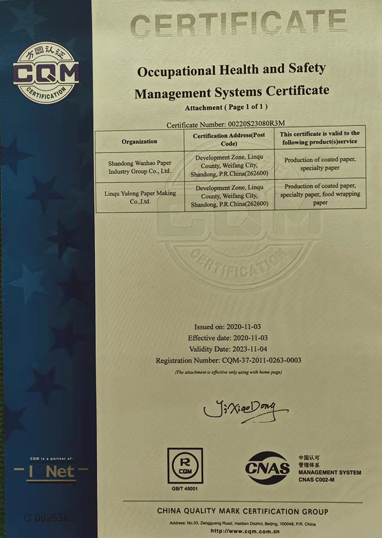 Occupational Health and Safety M anagement Systems Certificate