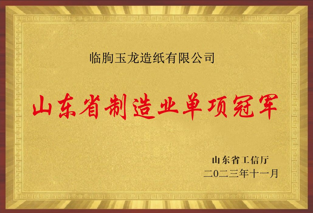 Shandong Province Manufacturing Industry Single Champion